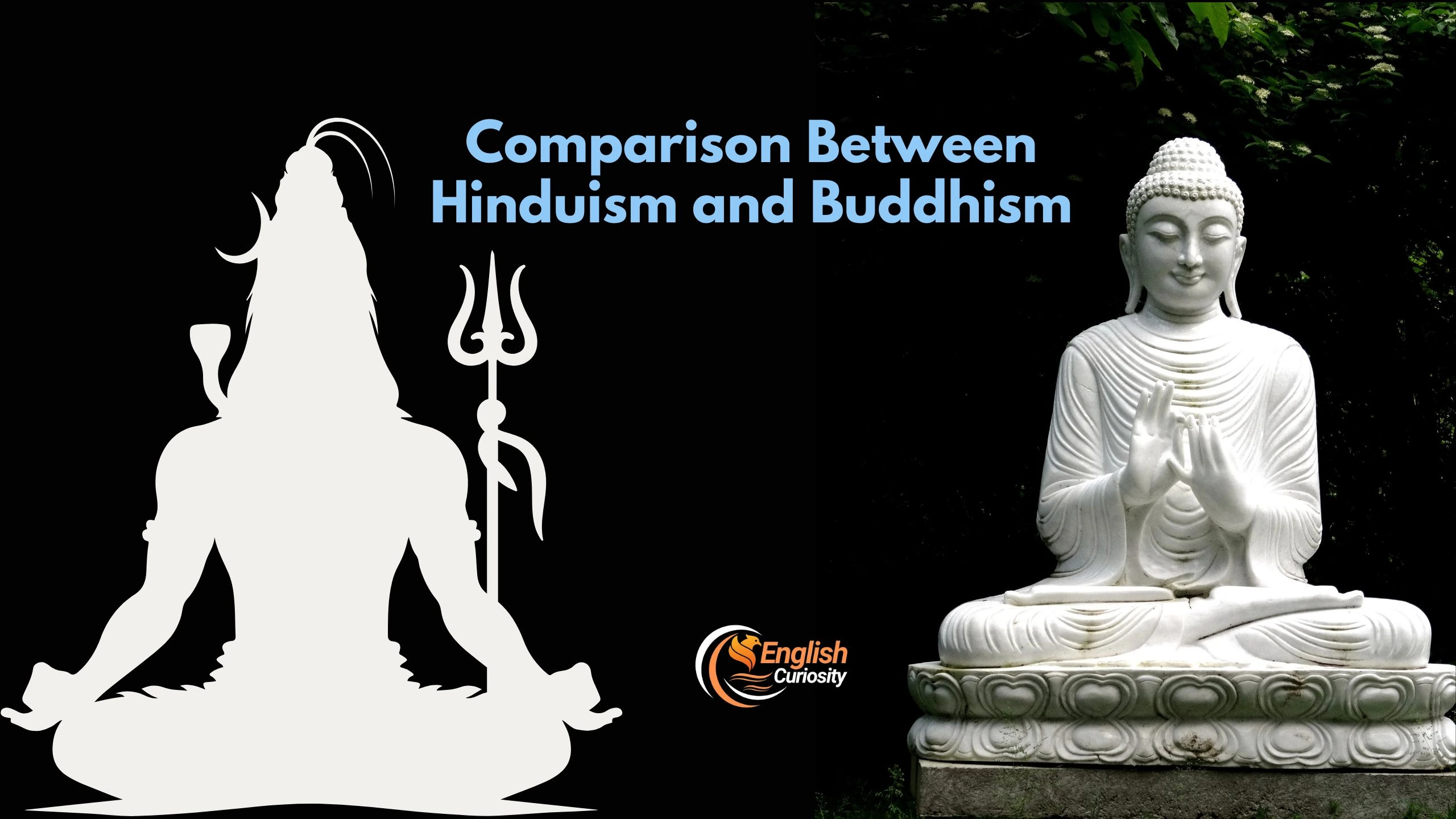 Comparison Between Hinduism and Buddhism