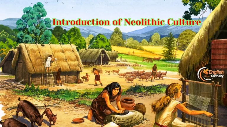 Introduction of Neolithic Culture