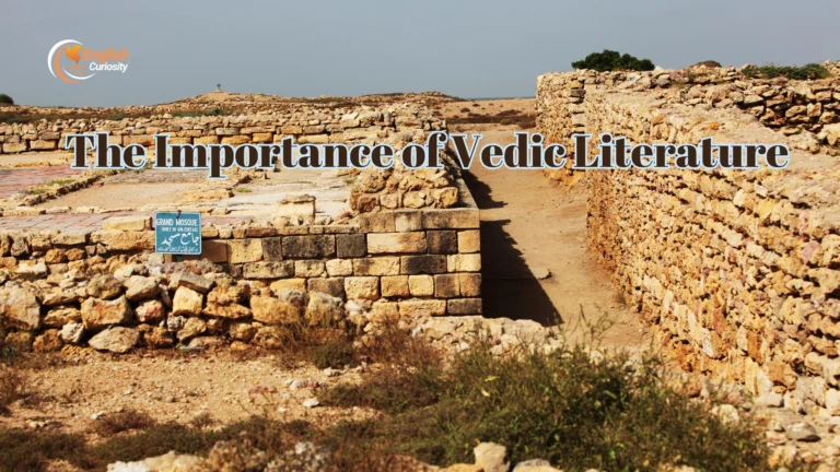 Religious Life of the Indus Civilization