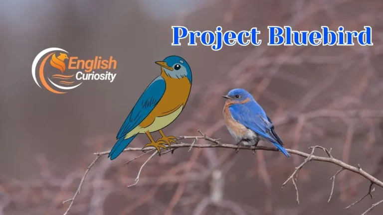 Project Bluebird